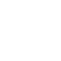 Graphic icon